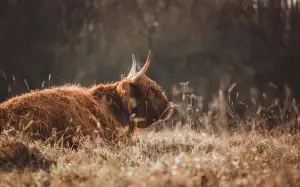 Jak Zjistit Bodový Systém